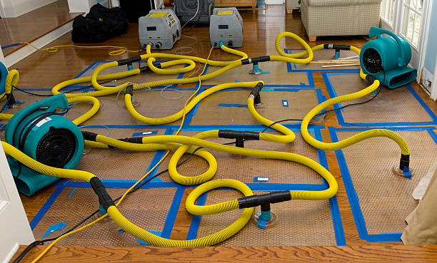 Professional Sewage Cleanup technician working in West Enfield, ME